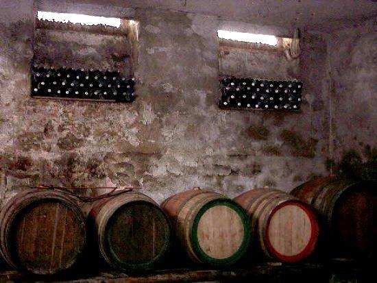 Cantina con botti e bottiglie